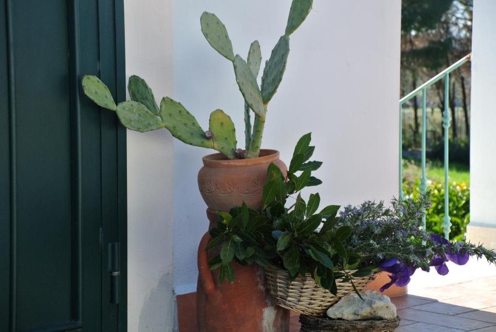 Hotel Il Giardino Del Te Barletta Zimmer foto
